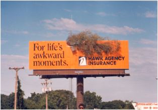 Hawk Insurance snip full screen