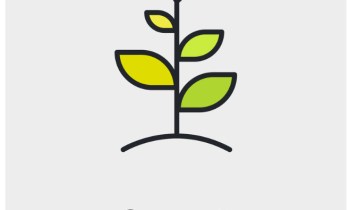 growth